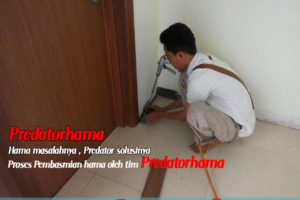 Cara basmi rayap kayu cepat Bergaransi Terbukti.