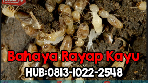 Anti Rayap Bogor Hub: 0813-1022-2548