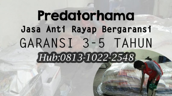 Jasa Anti Rayap Alami Jakarta Timur I Hub: 0813-1022-2548
