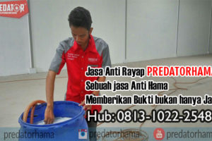 Jasa Anti Rayap Kayu Jakarta Selatan I Hub:0813-1022-2548