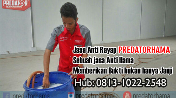 Jasa Anti Rayap Kayu Jakarta Selatan I Hub:0813-1022-2548