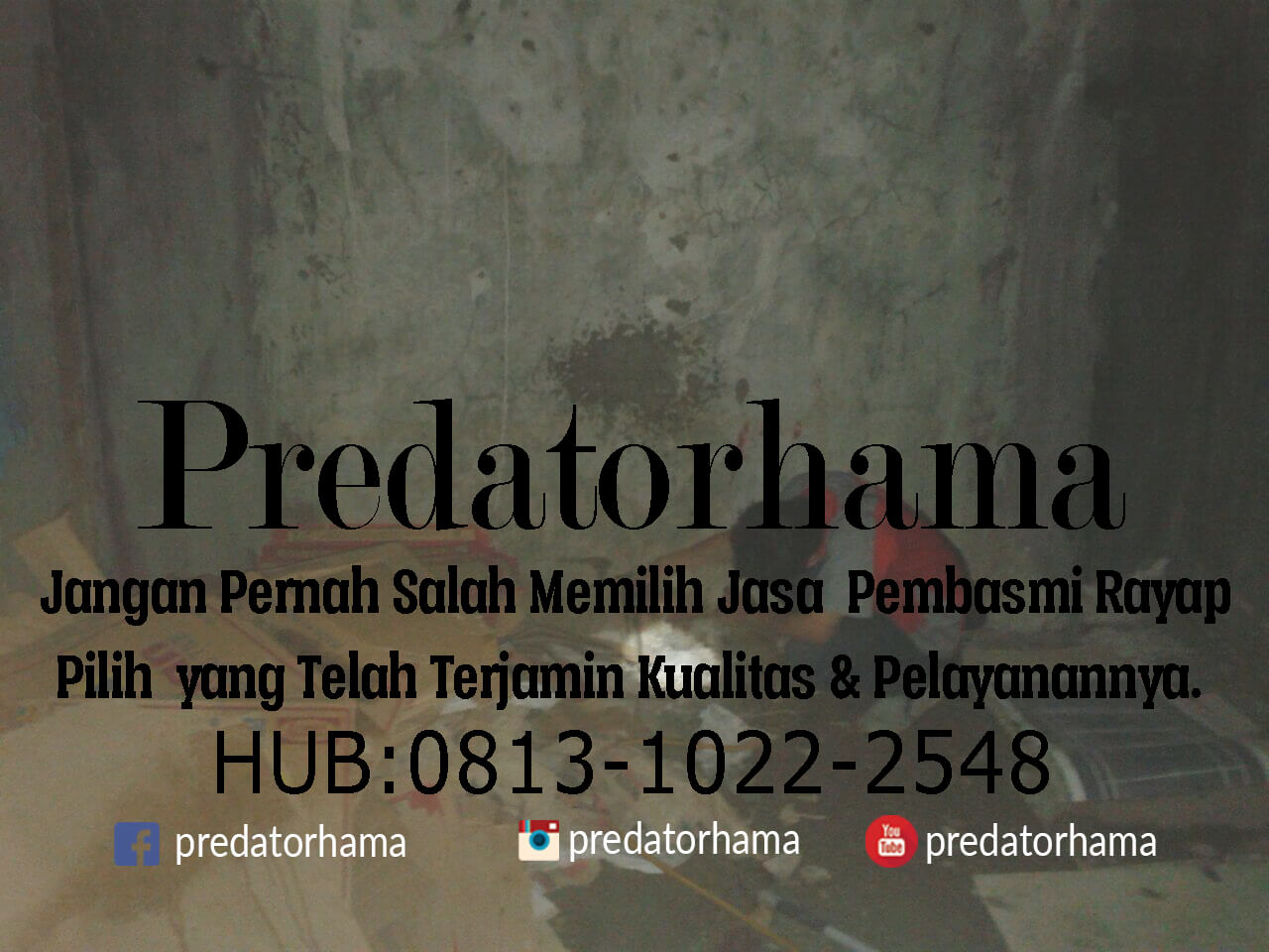 jakarta jasa basmi rayap Rayap Utara 2548 Pembasmi Hub 1022 Jakarta : I 0813 Jasa