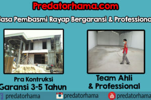 Perusahaan Anti Rayap Kayu Jakarta Hub:0813-1022-2548
