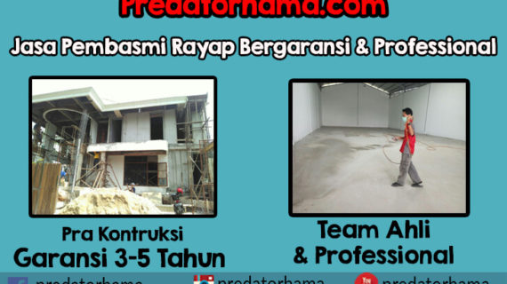 Perusahaan Anti Rayap Kayu Jakarta Hub:0813-1022-2548