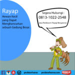Perusahaan Jasa Anti Rayap Kayu Jakarta Barat