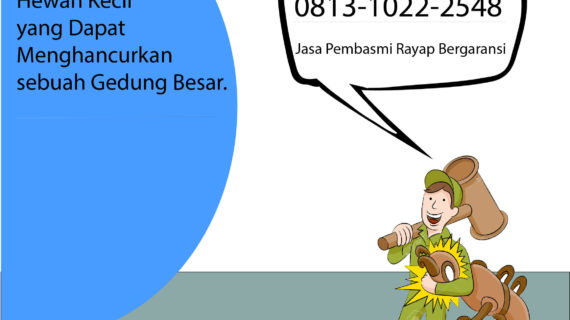 Perusahaan Jasa Anti Rayap Kayu Jakarta Barat
