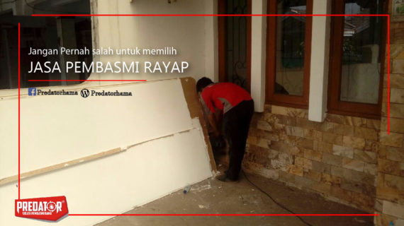 Jasa Basmi Rayap Karawang