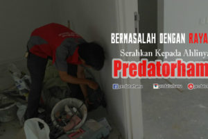 Jasa Tukang Basmi Rayap Berkualitas