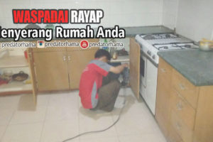 Jasa Tukang Basmi Rayap Bekasi