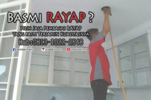 Jasa Tukang Basmi Rayap Jakarta Barat Bergaransi